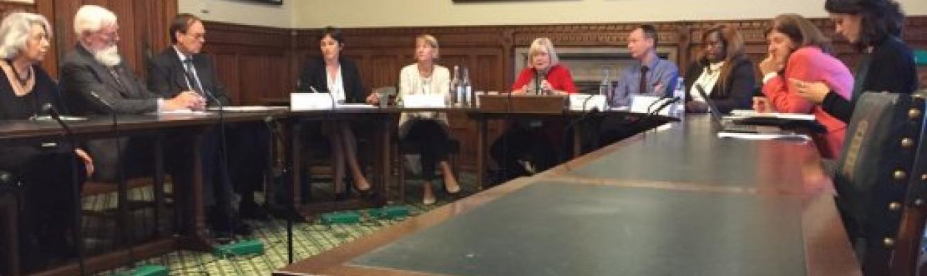 Survivors Speak OUT Network in Parliament