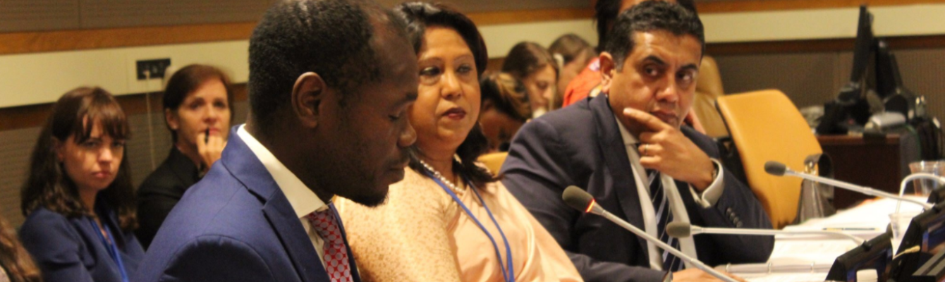 Kolbassia (left) speaking at the UN General Assembly