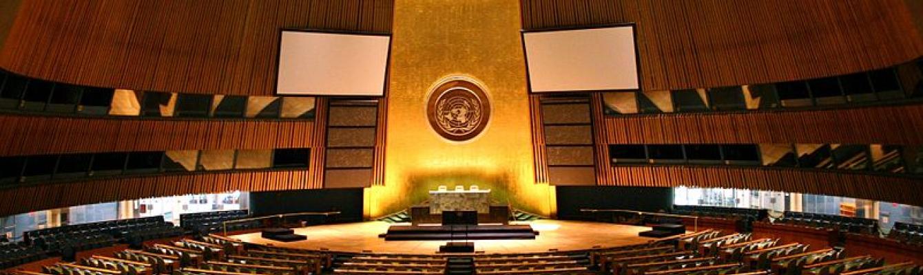 UN General Assembly