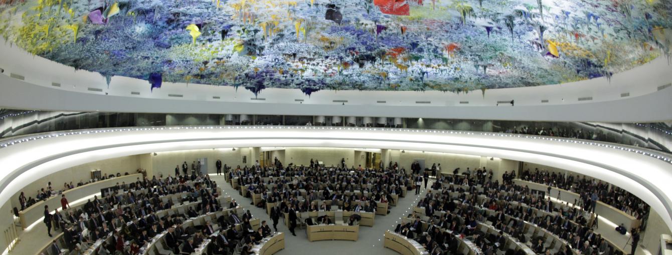 UN human rights council 