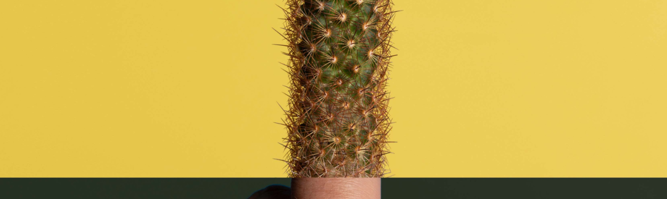 Half cactus and half middle finger