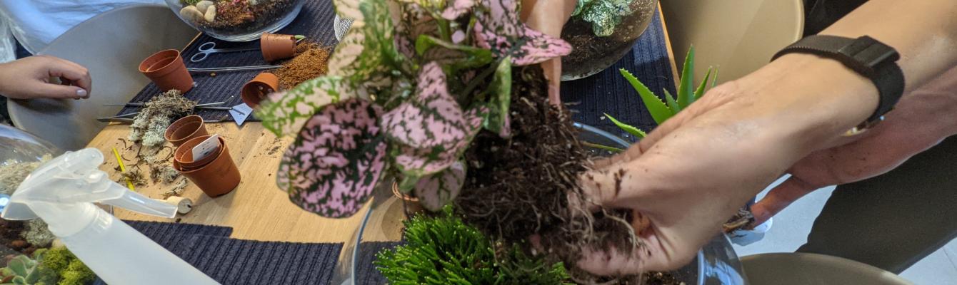 Terrarium workshop