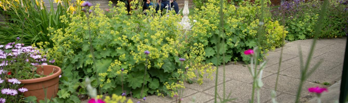 Freedom from Torture clients in the London centre garden