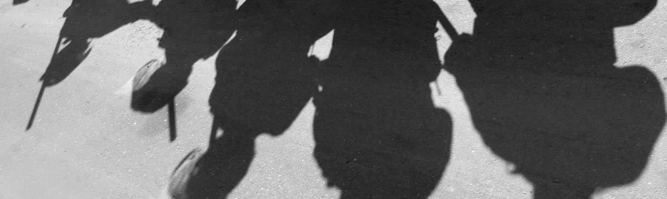 Shadows of policemen