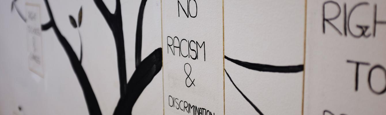 An illustration of a tree, with a caption reading "No racism & discrimination"
