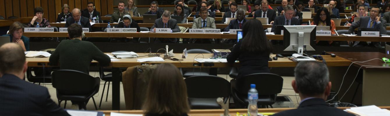 U.S. Presentation Before the Committee Against Torture