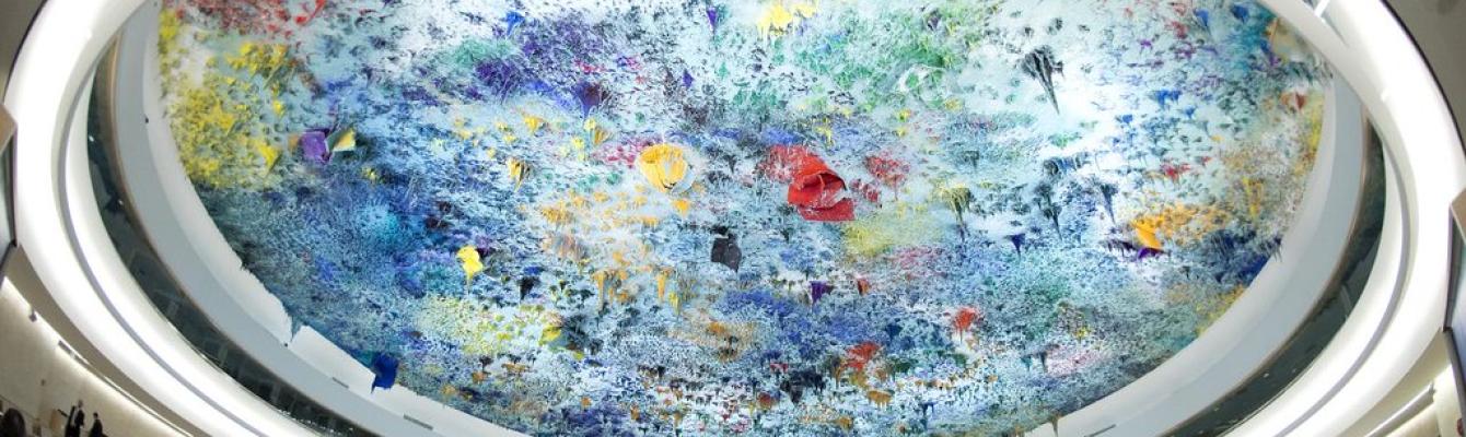 UN human rights council