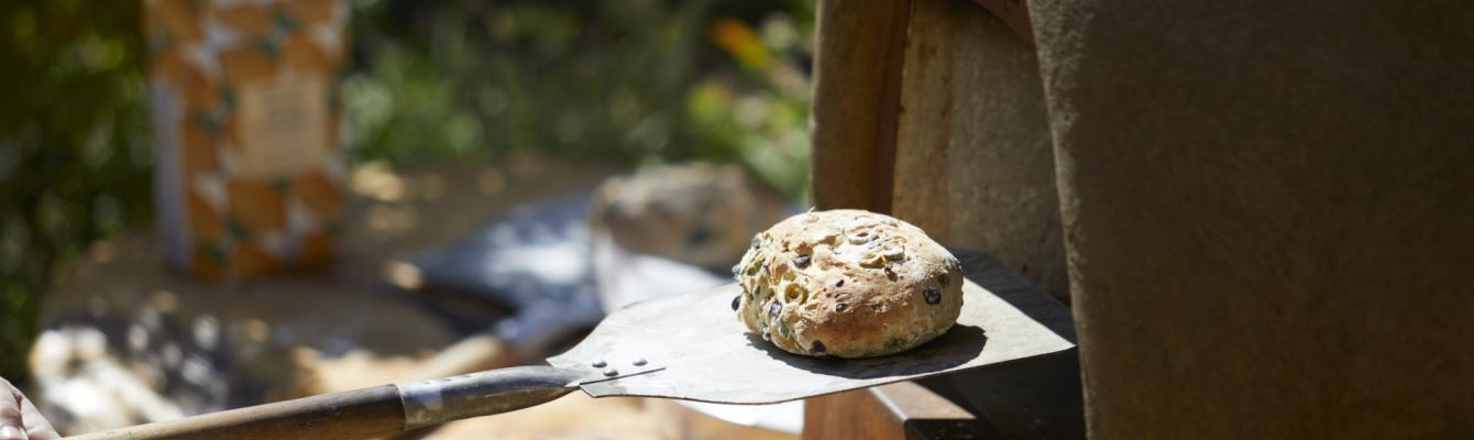 Image of bread going into outdoor oven of Freedom from Torture's garden