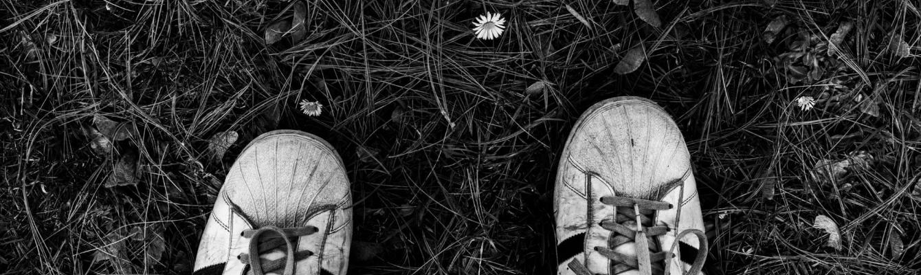 Black and white photo of white trainers stood on grass