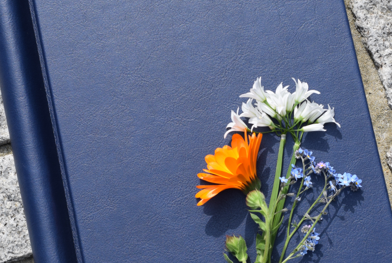 Freedom from Torture Book of Remembrance with flowers