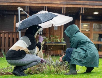 Two people with their back turned to the camera kneeling in a garden