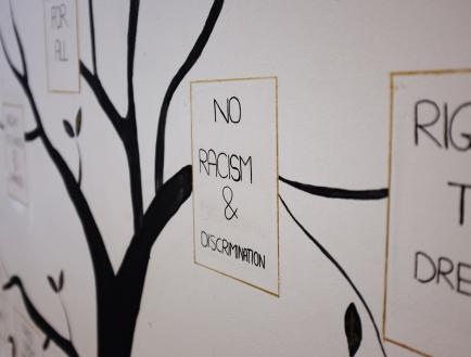 An illustration of a tree, with a caption reading "No racism & discrimination"