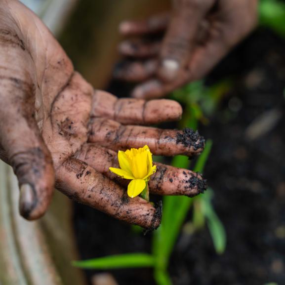 Man holding tulip flower