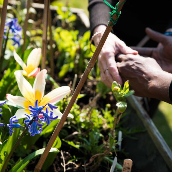 Holding hands and gardening