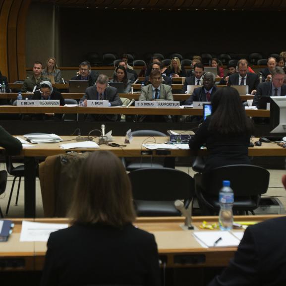 U.S. Presentation Before the Committee Against Torture
