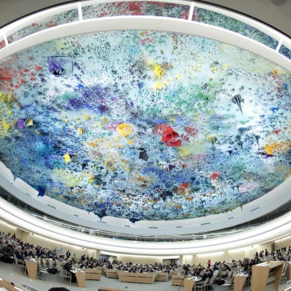 UN human rights council