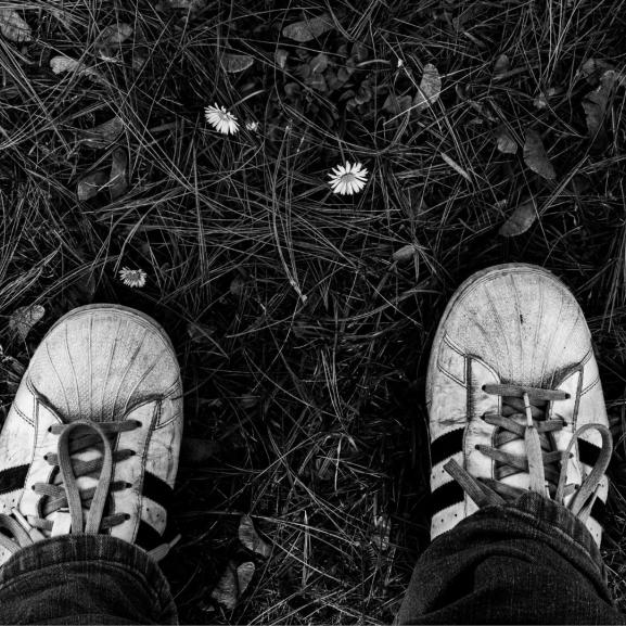 Black and white photo of white trainers stood on grass