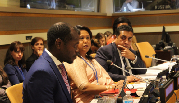 Kolbassia (left) speaking at the UN General Assembly