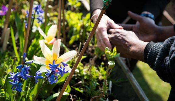 gardening hands