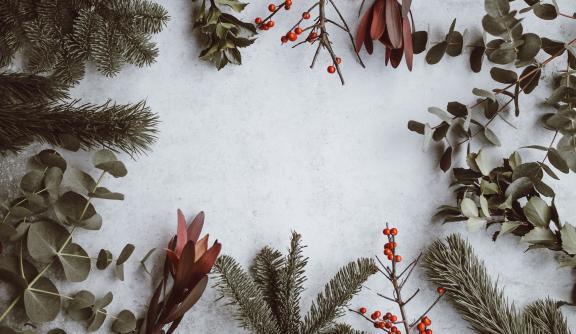 blank background with christmas ferns and berries around the outside