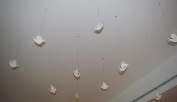 Doves of Peace