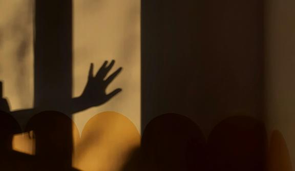 Shadow of a Hand on the Wall