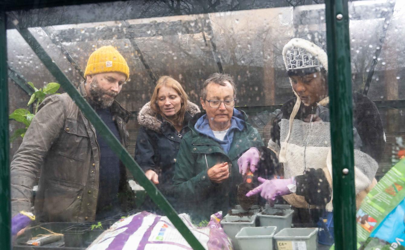 Group of people in a greenhouse looking at plants